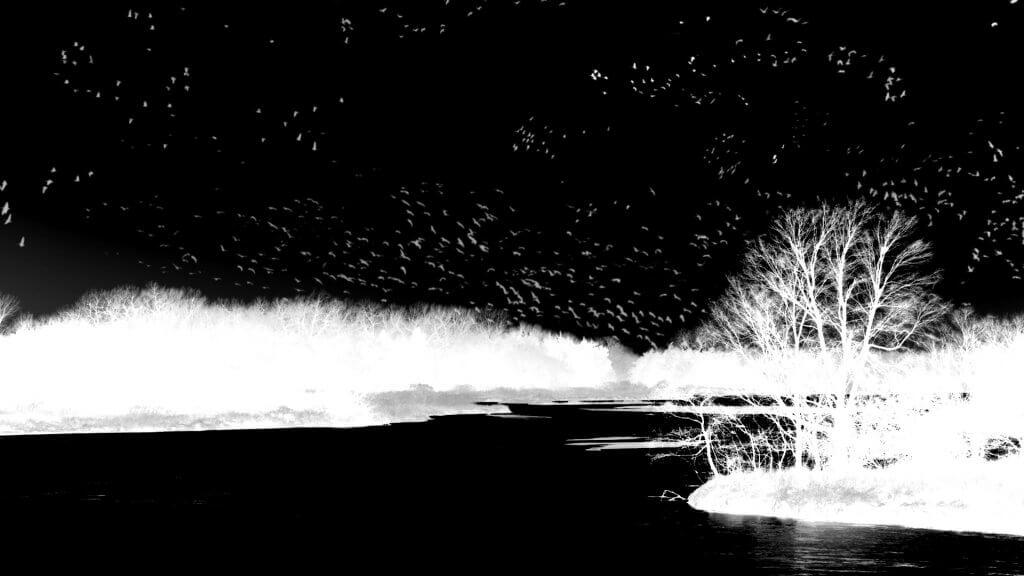 crane-comp-matte-combo