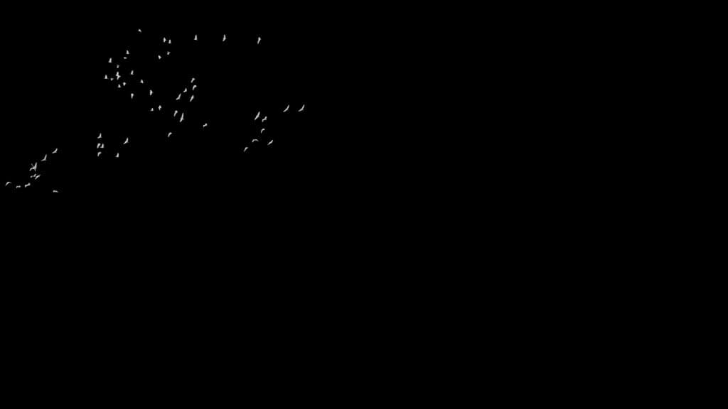 crane-comp-sil-matte-1